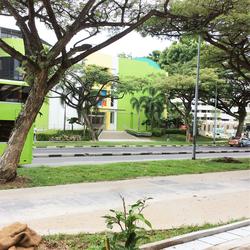 Jurong West Street 41 (D22), Shop House #130824232